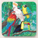 Zoek naar papegaai onderzetters Toucan
