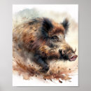 Zoek naar wild varken posters Boerderij