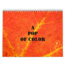 Zoek naar pop kalenders Helder