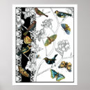 Zoek naar zwarte vogel posters Dier