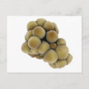 Zoek naar chronische ziekte briefkaarten Close up