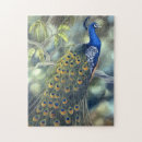 Zoek naar peacock puzzels Kleurrijk