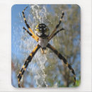 Zoek naar spin muismatten Geel