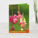 Zoek naar happy birthday yellow flowers briefkaarten Gelukkige verjaardag