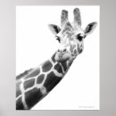 Zoek naar giraffe animal kunst African