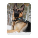 Zoek naar bandana magneten Puppy