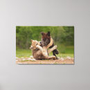 Zoek naar wolven canvas prints Wolf