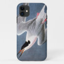 Zoek naar audubon iphone hoesjes Vogels uit amerika