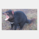 Zoek naar tasmaanse duivel stickers Tasmanië