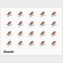 Zoek naar roodborstje stickers Vogel