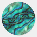 Zoek naar schelpen abstracte schelpen stickers Abalone