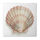 Zoek naar seashell tegels Oceaan