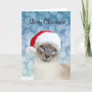 Zoek naar kattenkerstmis kaarten Siamese kat