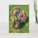 Zoek naar henriette briefkaarten Henrietta