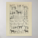 Zoek naar vintage horse kunst Equine