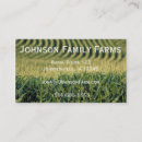 Zoek naar maïs visitekaartjes Boerderij