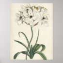 Zoek naar studies posters Bloemen