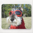 Zoek naar miniature schnauzer muismatten Schattig