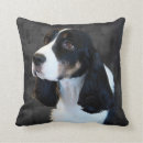 Zoek naar spanielen kussens Springer