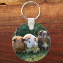 Zoek naar trio sleutelhangers Drie