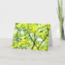 Zoek naar tree kaarten Geel