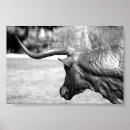 Zoek naar stier kunst Longhorn