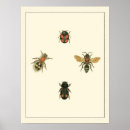 Zoek naar grenzen posters Natuur