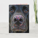 Zoek naar hond neus kaarten Schattig