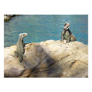 Zoek naar groene leguaan kunst Natuur