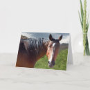 Zoek naar poney kaarten Voor iedereen