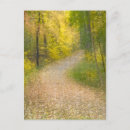 Zoek naar abstracte natuur briefkaarten Geel