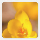 Zoek naar bloem hoofd stickers Breekbaarheid