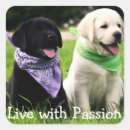 Zoek naar zwart labrador stickers Liefde