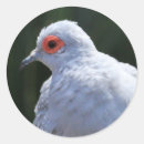 Zoek naar witte duiven stickers Roze