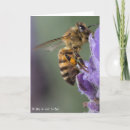 Zoek naar kruiden kaarten Voor iedereen