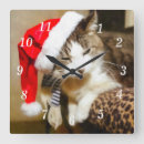 Zoek naar siamese klokken Schattig