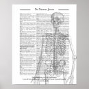 Zoek naar chirurg posters Dokter