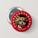 Zoek naar pot buttons Voor huisdieren