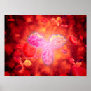 Zoek naar bacteriën posters Cytoplasma