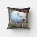 Zoek naar biggetje kussens Dieren