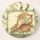 Zoek naar shell onderzetters Conch seashell