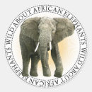Zoek naar afrikaanse olifanten stickers Voor iedereen