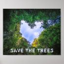 Zoek naar bos landschap posters Groen
