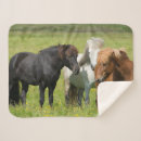 Zoek naar ijsland dekens Paard