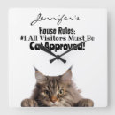 Zoek naar maine coon kunst Kat