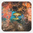 Zoek naar zee koraal stickers Zand