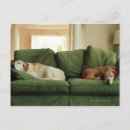 Zoek naar emotie briefkaarten Binnen