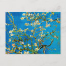 Zoek naar almond blossom briefkaarten Lente