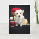 Zoek naar humoristische honden kaarten Groet