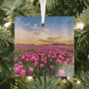 Zoek naar tulp ornamenten Bloem